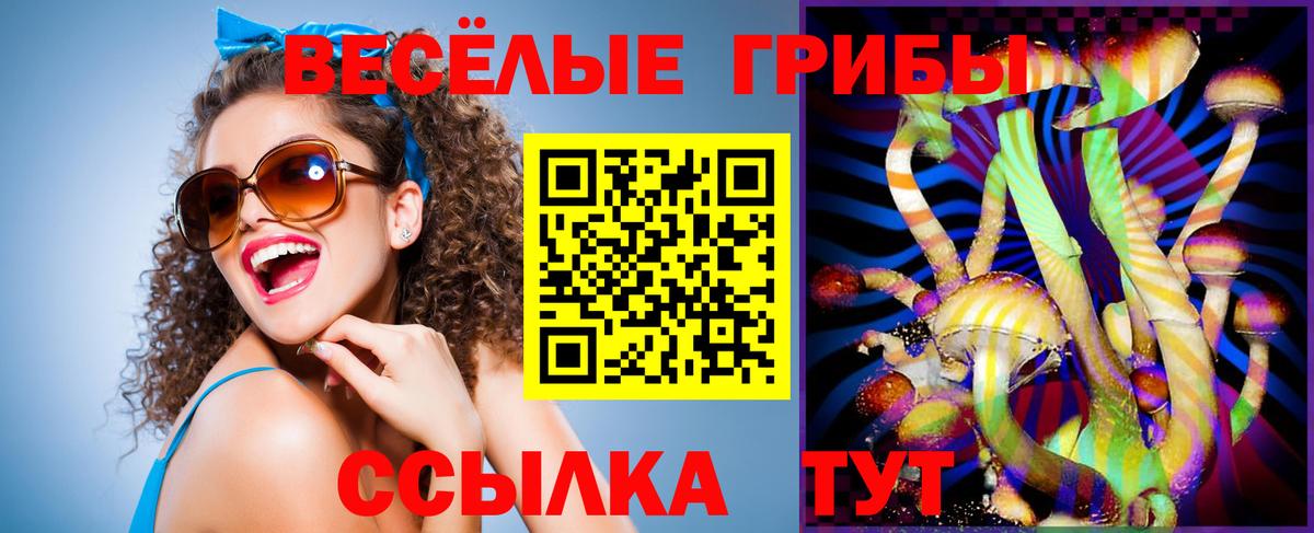 Назарово  Галлюциногенные грибы GOLDEN TEACHER  купить наркотик  Вход с VPN 