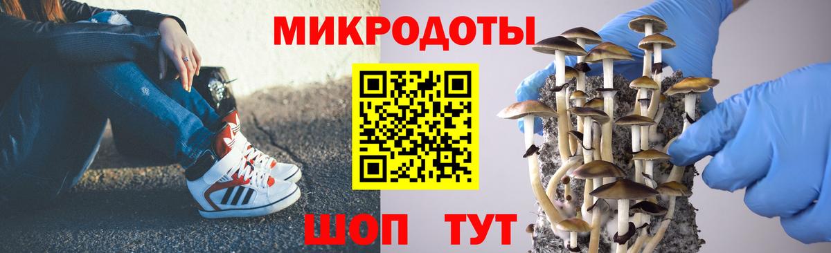 Псилоцибиновые грибы Psilocybe Назарово